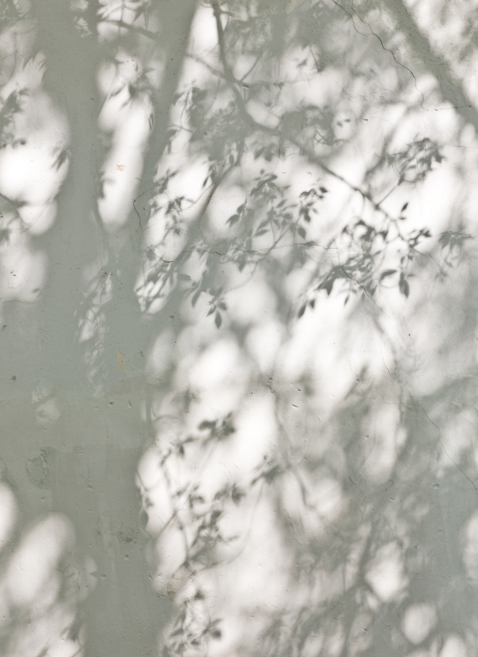 Shutterstock 227261272